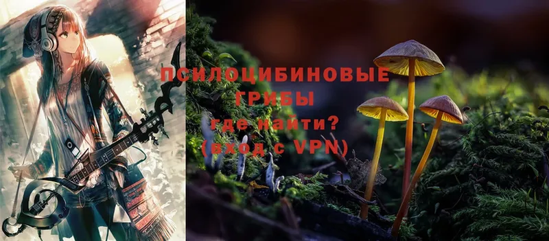 Галлюциногенные грибы Psilocybine cubensis Бутурлиновка